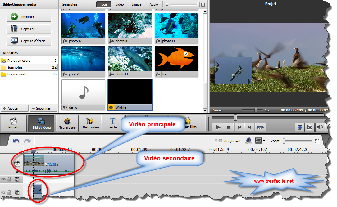 for ipod instal AVS Video Editor 12.9.6.34