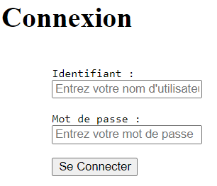 Balise input formulaire identification